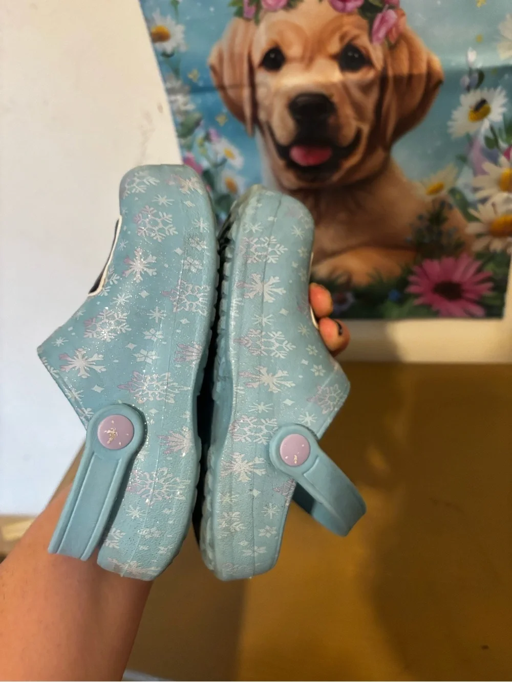 Disney Light Blue Frozen Anna & Elsa Slip-On Clogs